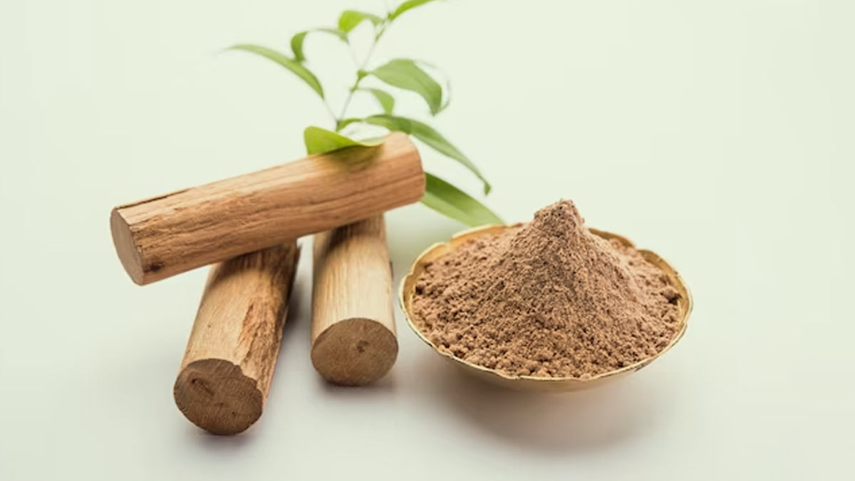 पूजा-पाठ में क्यों किया जाता है चंदन का इस्तेमाल, जानें इसका महत्व |  significance of sandalwood in puja | HerZindagi