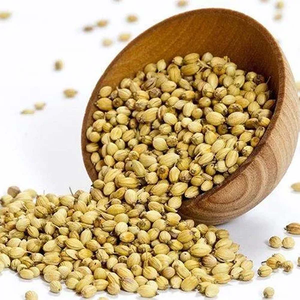 coriander seeds benefits