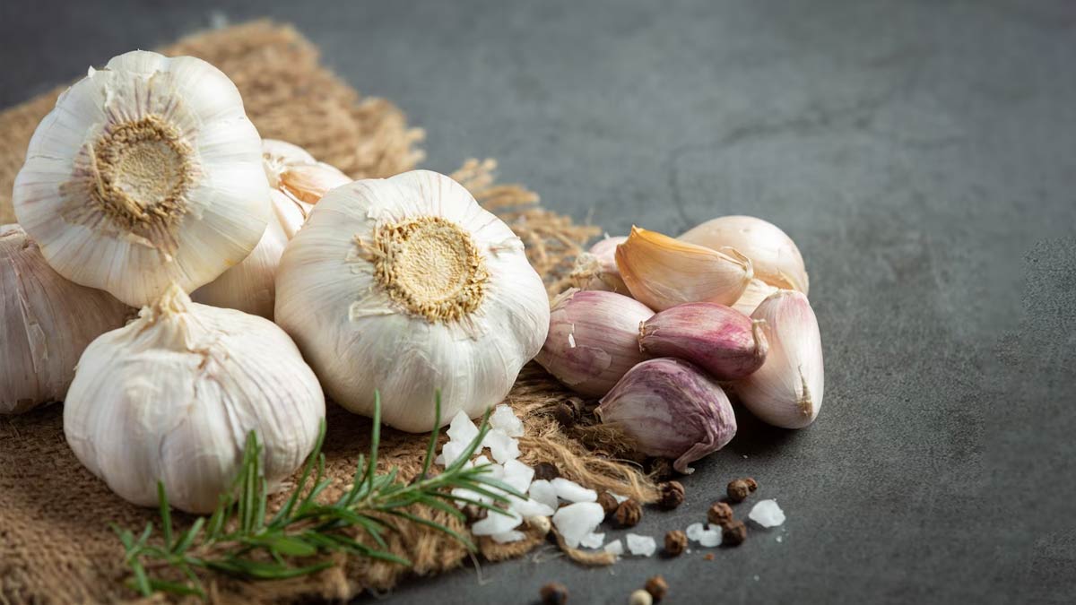 garlic for tooth ache