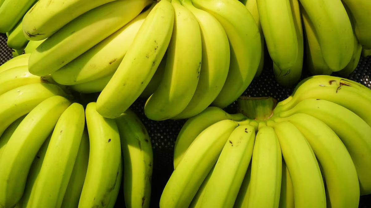 green-bananas-is-it-good-to