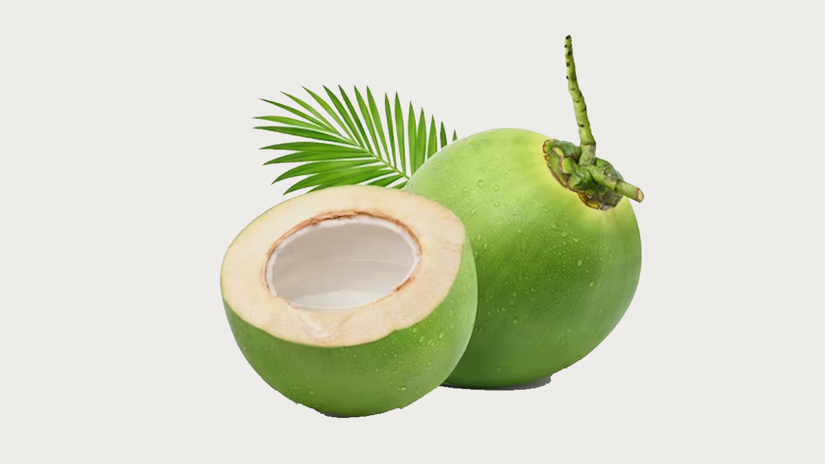 एक नारियल से बना सकते हैं कोकोनट मिल्क,ऑइल और पाउडर; जानें कैसे 