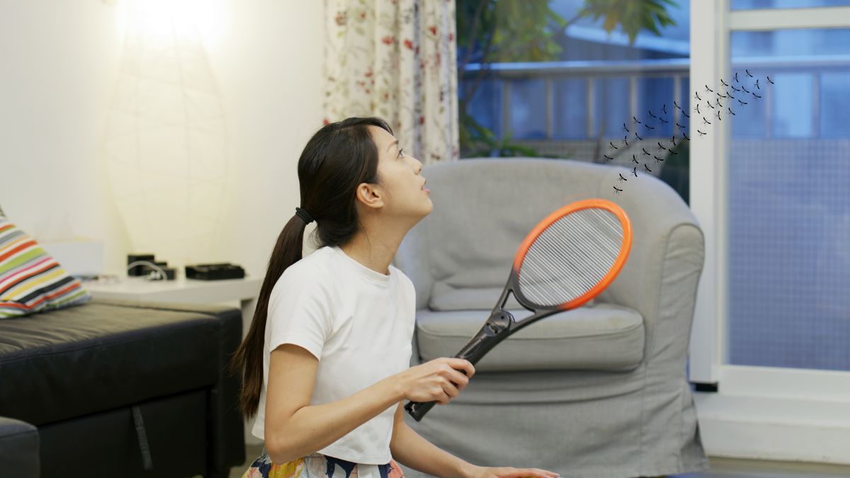 Mosquito Racket: मच्छरों का खात्मा करें मिनटों में इन मॉस्किटो रैकेट का इस्तेमाल करके 