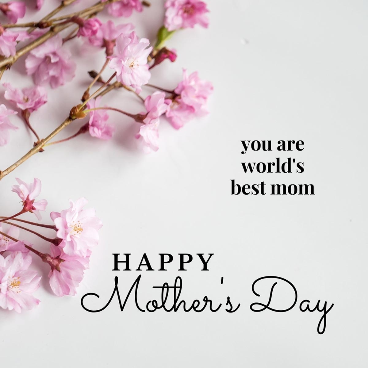 130+ Beautiful Mother's Day Sayings & Quotes for Your Mom in 2023