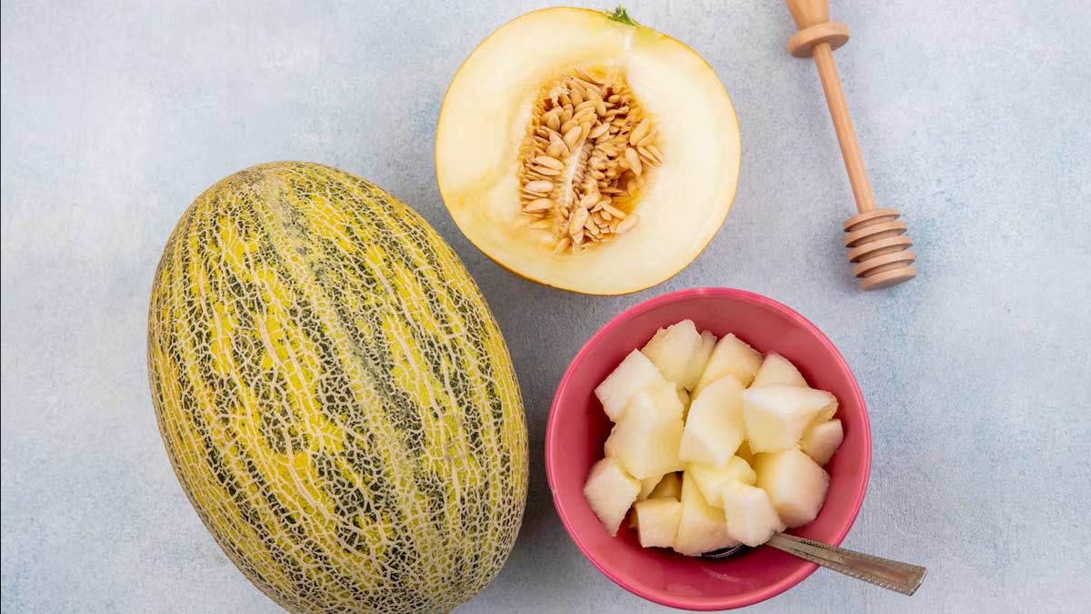 musk melon for summer heat