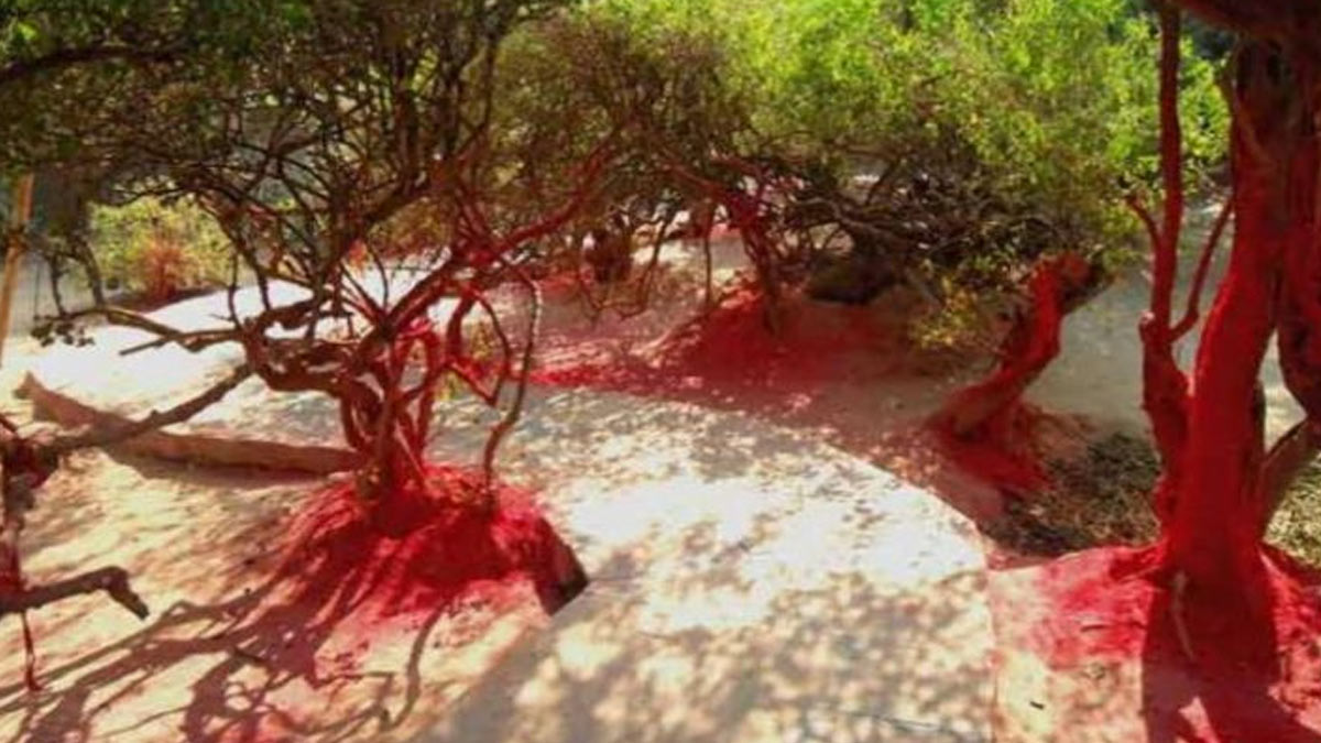 mystery of vrindavan