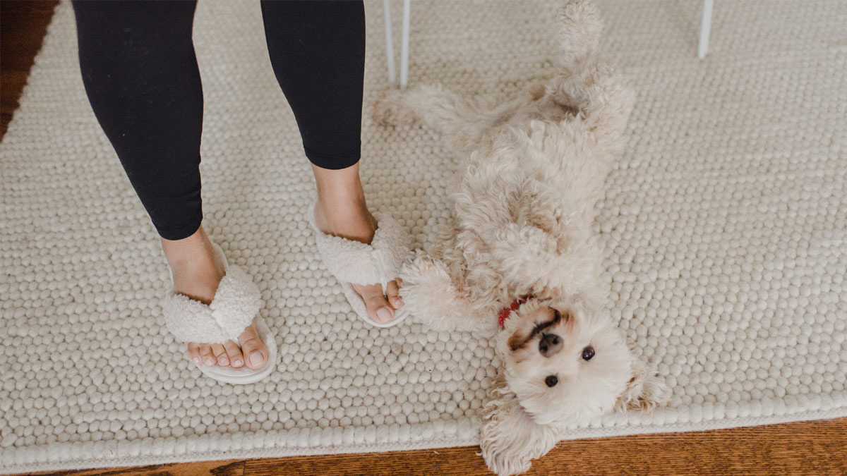 not to wear slippers in home