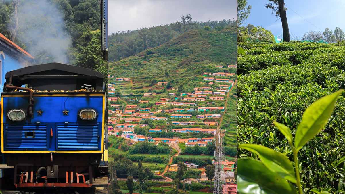 Ooty Best Places : ஊட்டியில் சுற்றி பார்க்க வேண்டிய இடங்களின் லிஸ்ட் ...