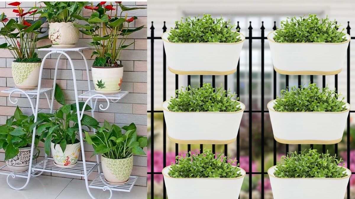 अपने घर का लुक बदलें इन Best Stand for Plants से, कम दामों में बनाएं बालकनी को खूबसूरत