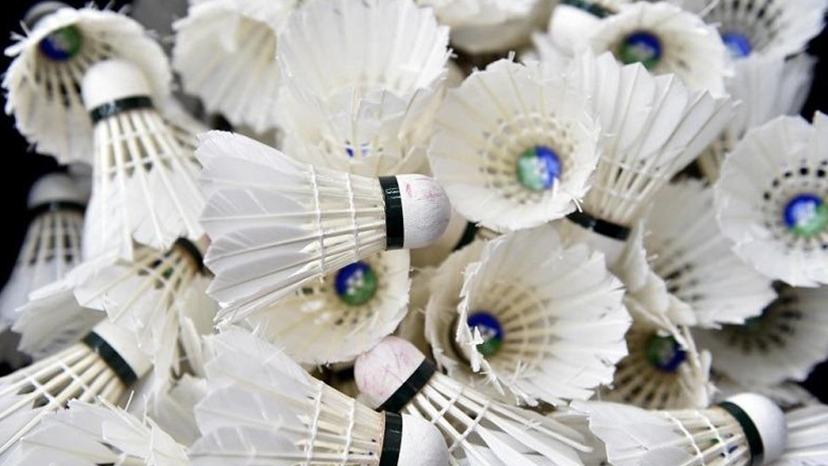 क्या आपको पता है कैसे बनती है शटल कॉक? do you know how a shuttlecock is made HerZindagi
