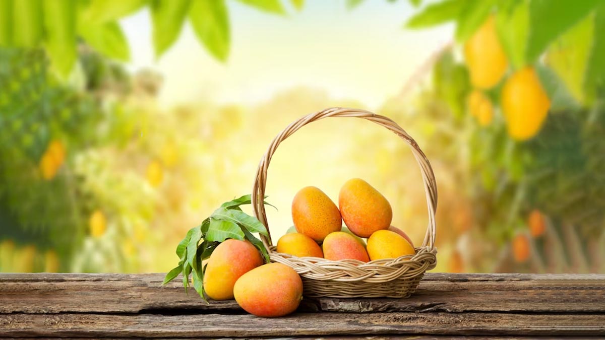 केमिकल से पके आम को पहचानने के लिए फॉलो करें ये 3 ट्रिक्स 