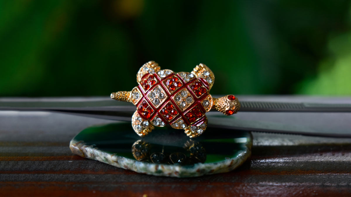 turtle ring significance