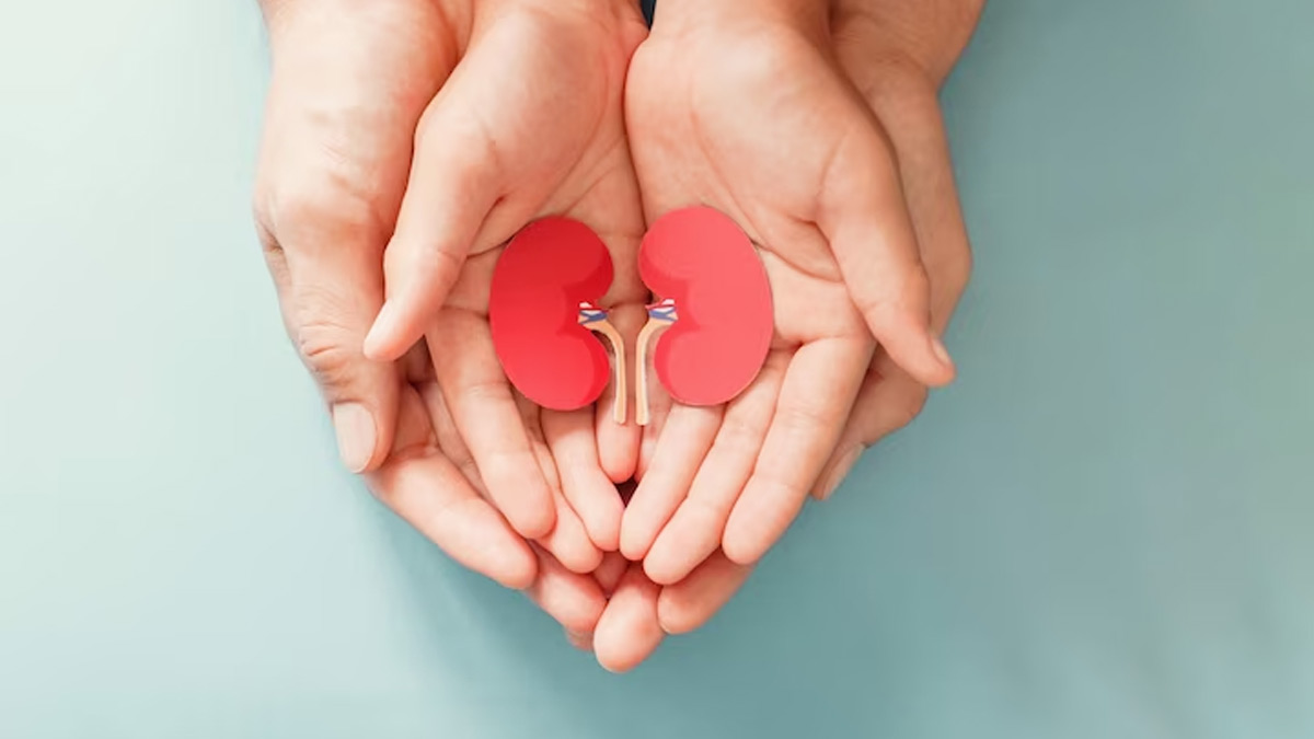 urine burning sensation kidney problem