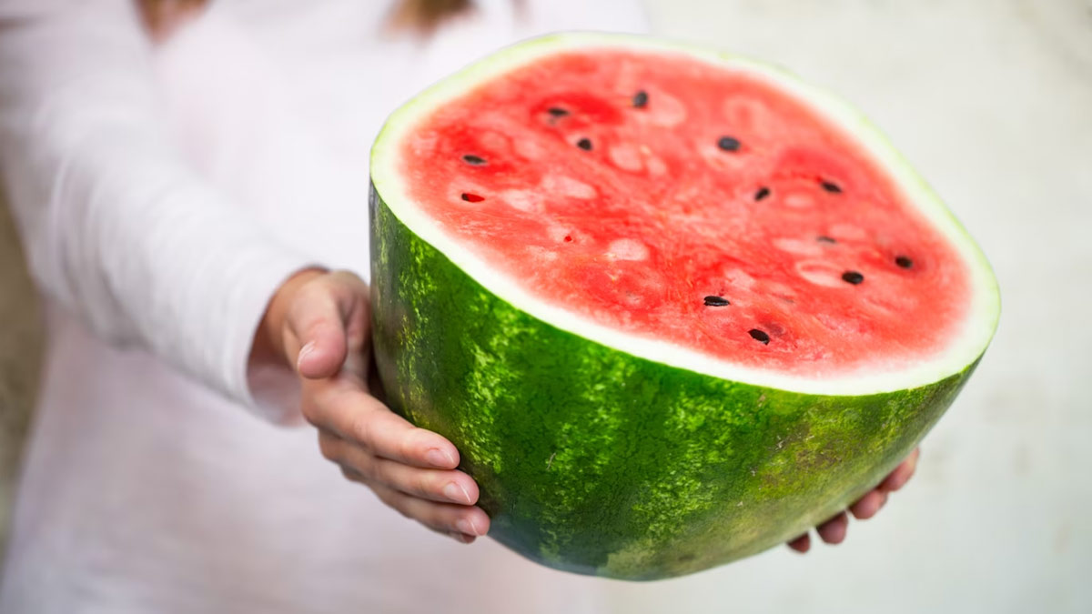 watermelon popsicles