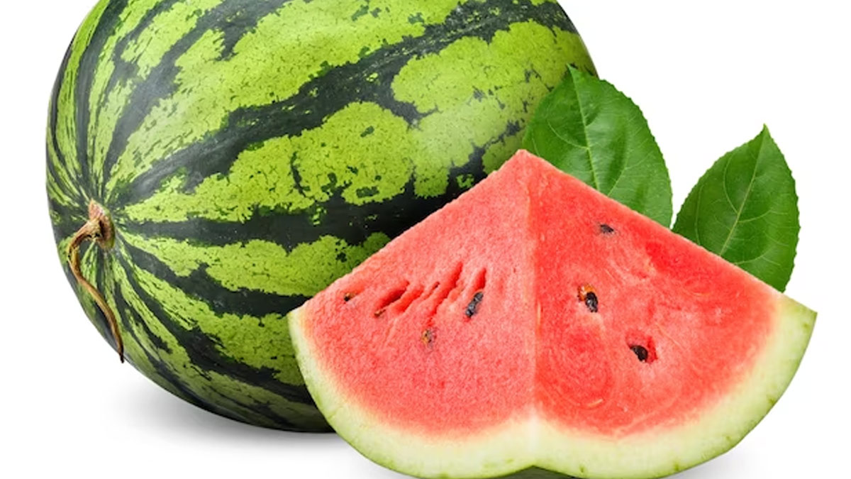 watermelon recipes indian