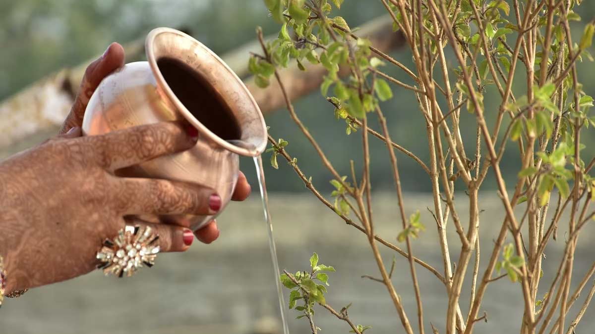 Best metal for offering water to tulsi expert