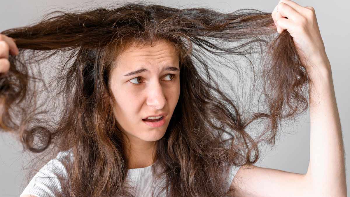 Winter Season Hair Care: सर्दी के मौसम में बाल हो जाते हैं ड्राई, तो इसके  लिए ट्राई करें ये घरेलू नुस्खे | homemade tips for dry hair in winter |  HerZindagi