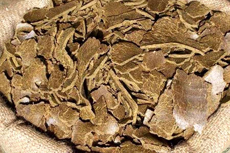 Mustard Khali for Fertiliser at home