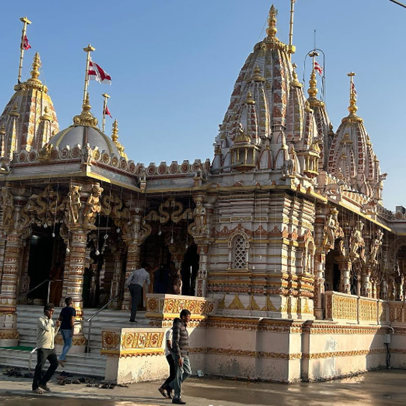 What is famous in Dholera