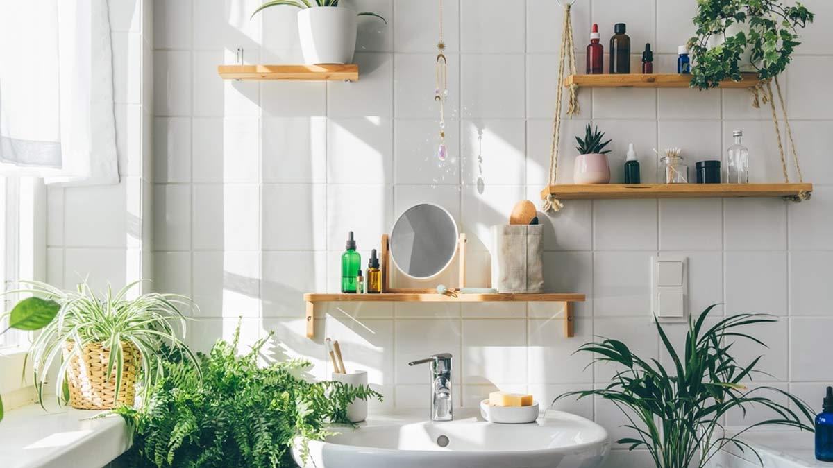 5 Indoor Plants To Keep In Your Bathroom That Absorb Moisture 