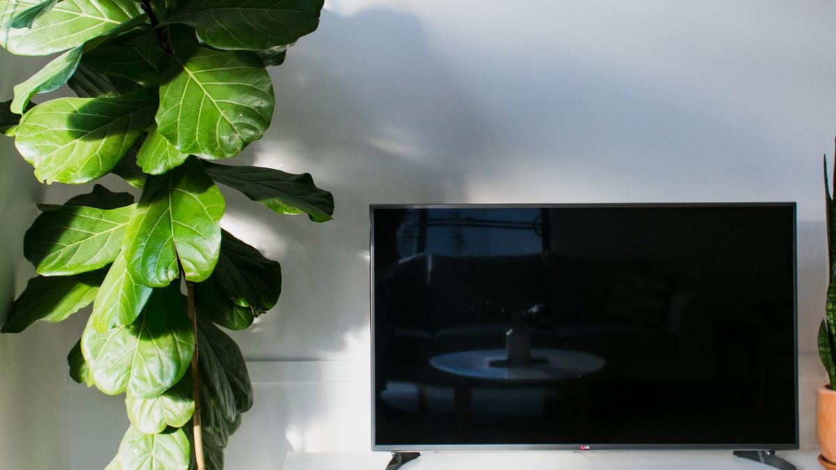Best LED TV In India A Power House Of Dynamic Audio Visual Content best-led-tv-in-india-a-power-house-of-dynamic-audio-visual-content