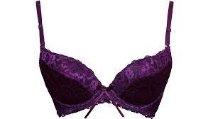 bow on women bra facts
