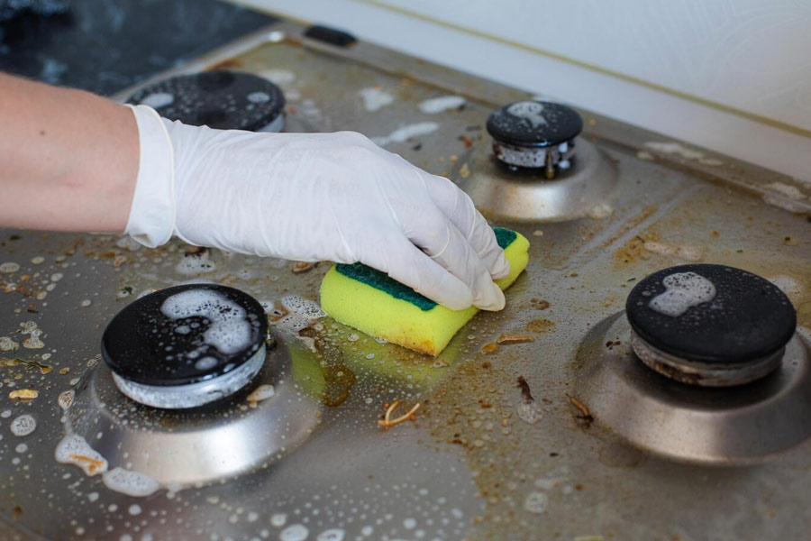 cleaner for appliances