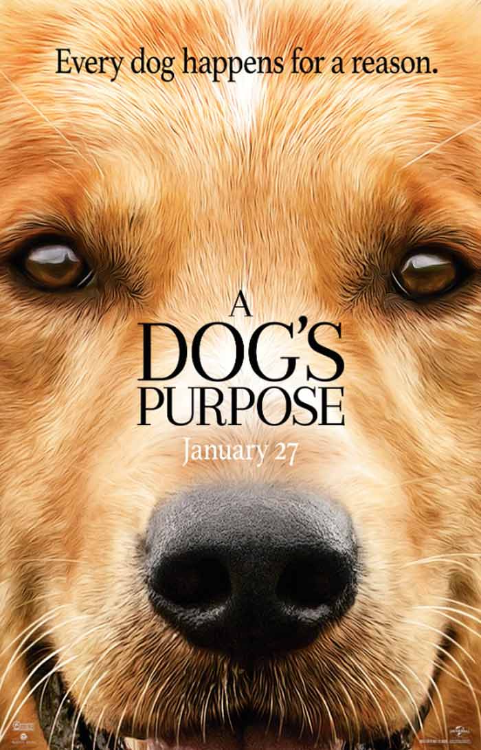 dog purpose
