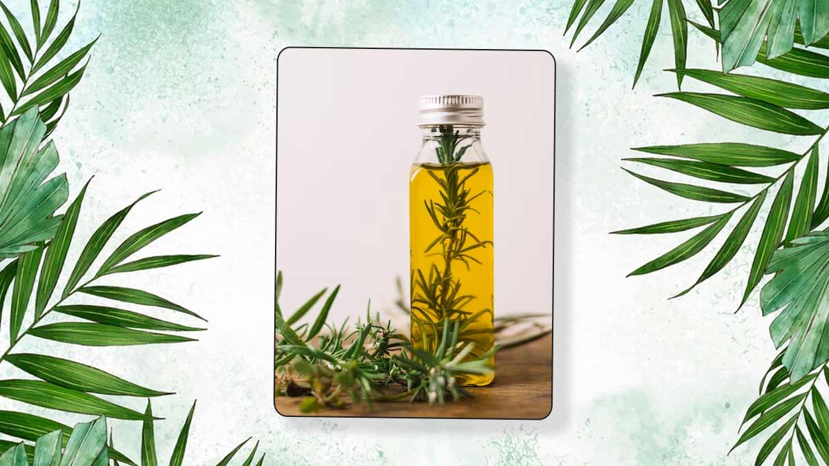 From Root To Tip: 5 Ways To Use Rosemary Oil Hair Growth