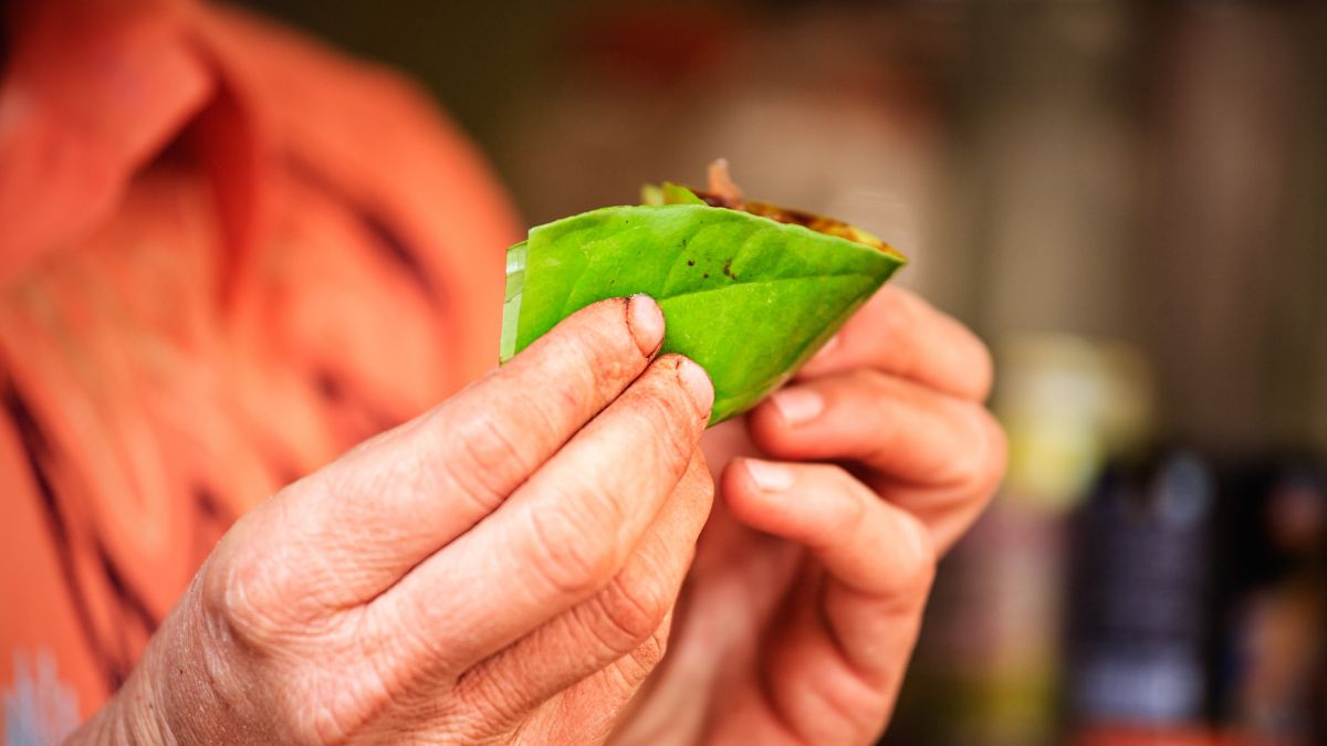 Wedding Rituals: Why Is The Groom Fed Paan According To Astrology, Expert Explains