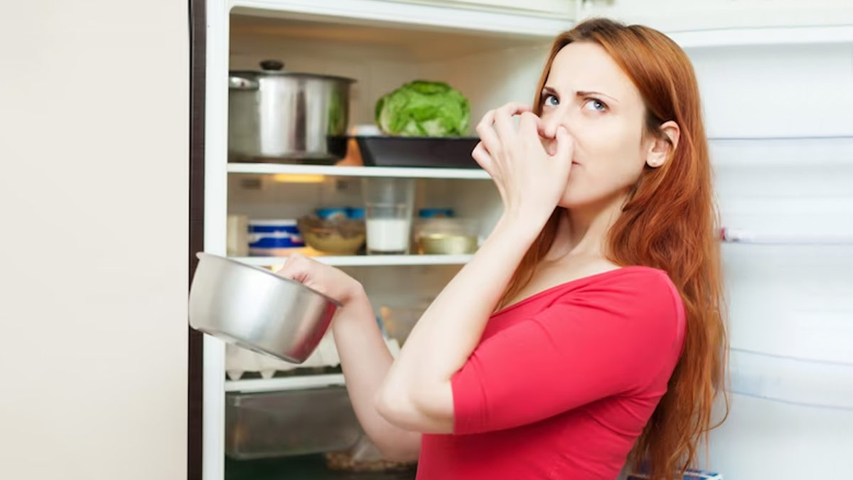 Dealing With The Stinky Freezer? Here’s What You Need To Do