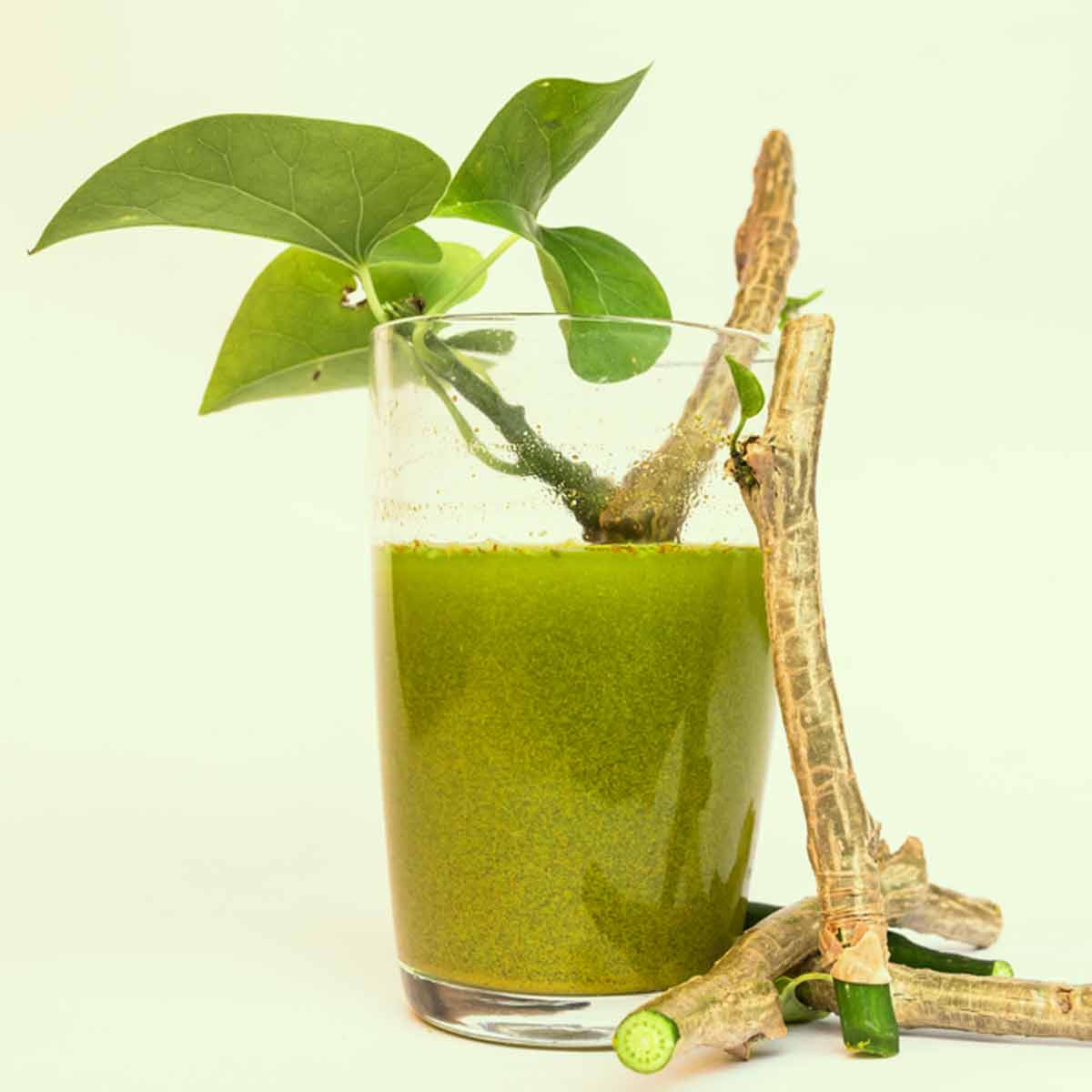 giloy kadha for cold and cough