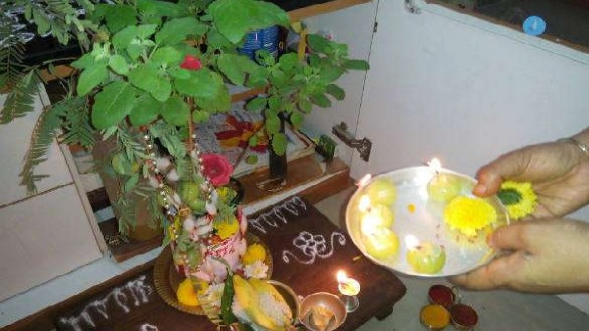 Tulsi Vivah Aarti 2023 तुलसी विवाह के दिन जरूर करें ये आरती, ग्रह दोष