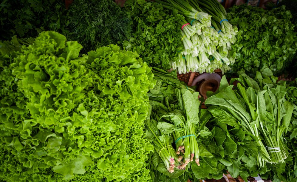green leafy vegetables rich in vitamin k
