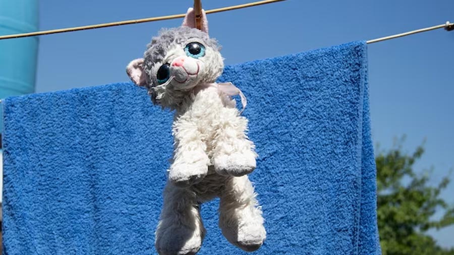 Soft Toys Washing Tips टेडी बियर साफ करने का आसान तरीका / (How To