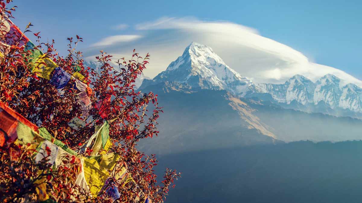 Add These 5 International Budget-Friendly Travel Destinations For Solo Trip In Your 2024 Checklist - Vimarsana News
