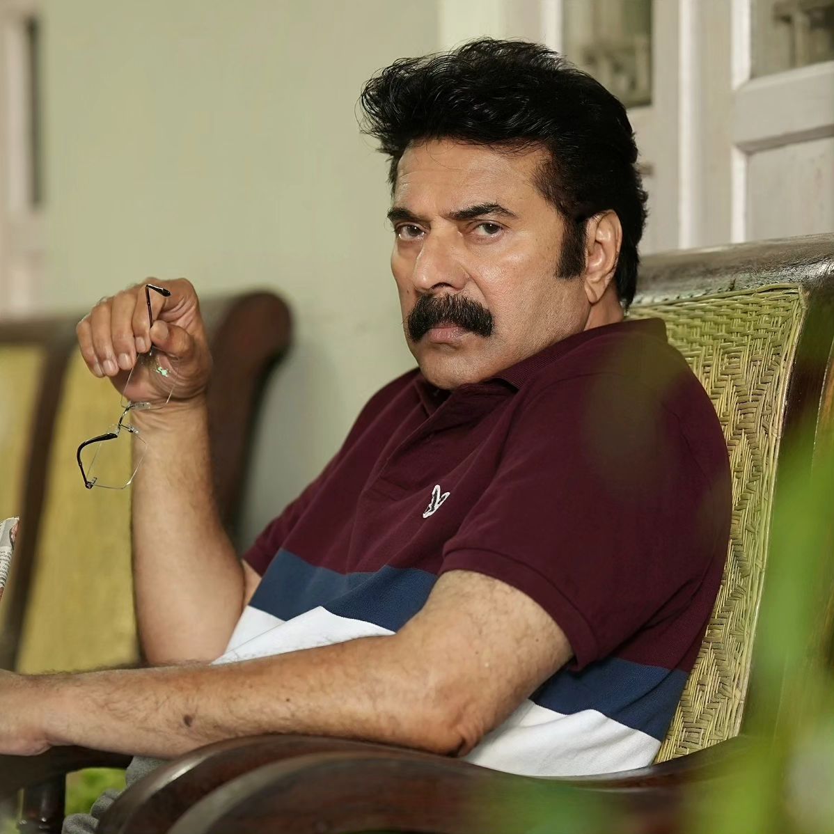 mammoothy movie