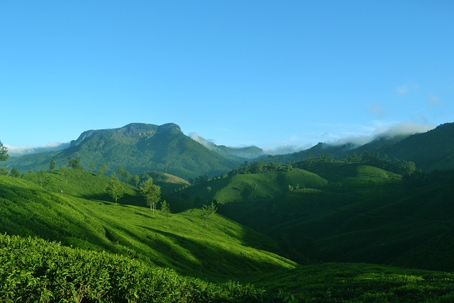 munnar kerela