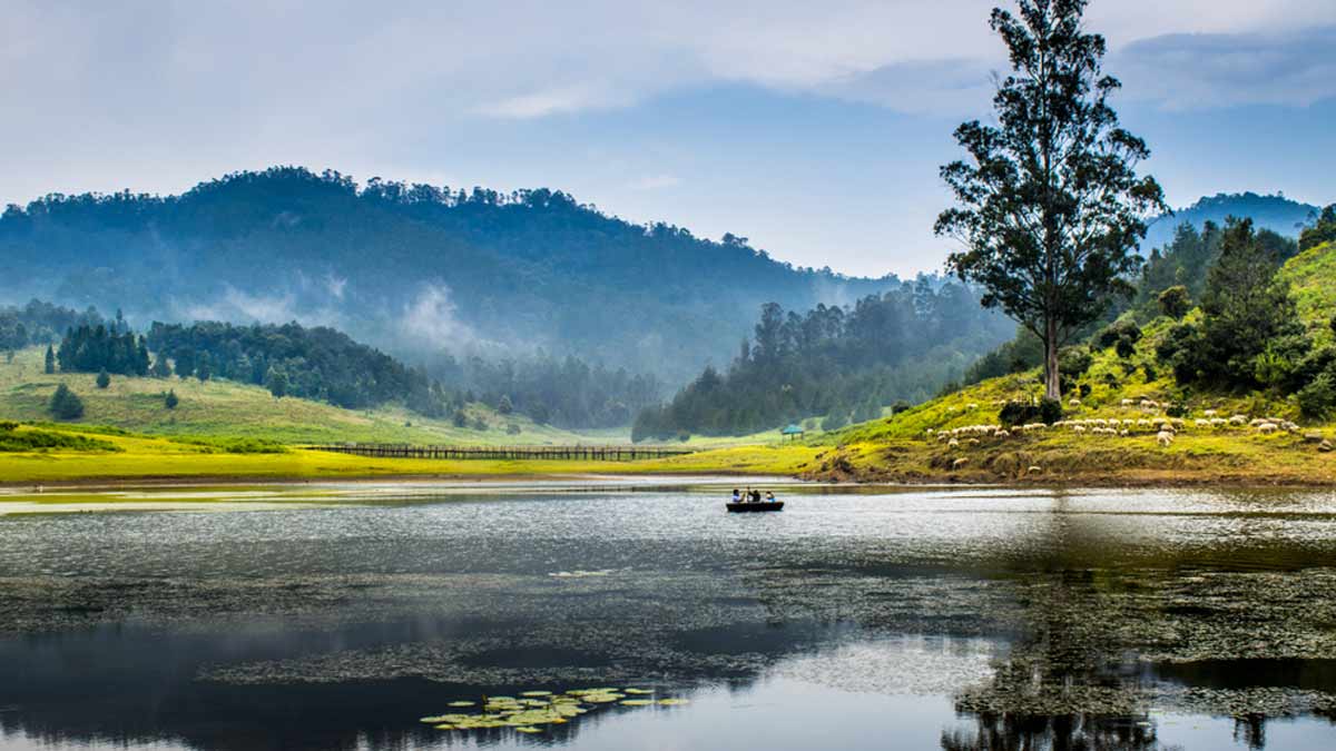 Kodaikanal: Places To Visit In The Kodaikanal, One of South India's Most Popular Hill Station