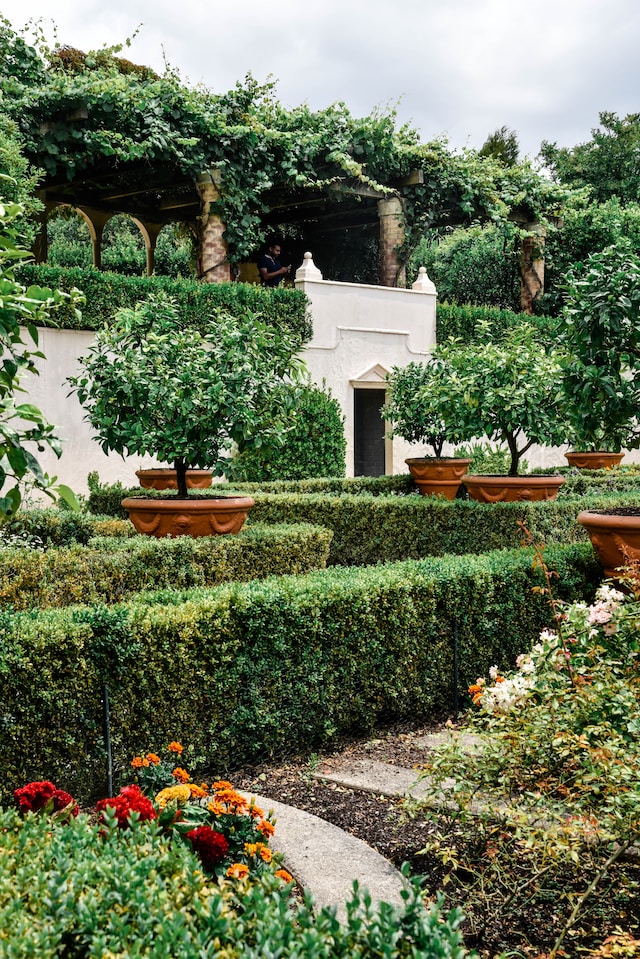 plant for garden choose