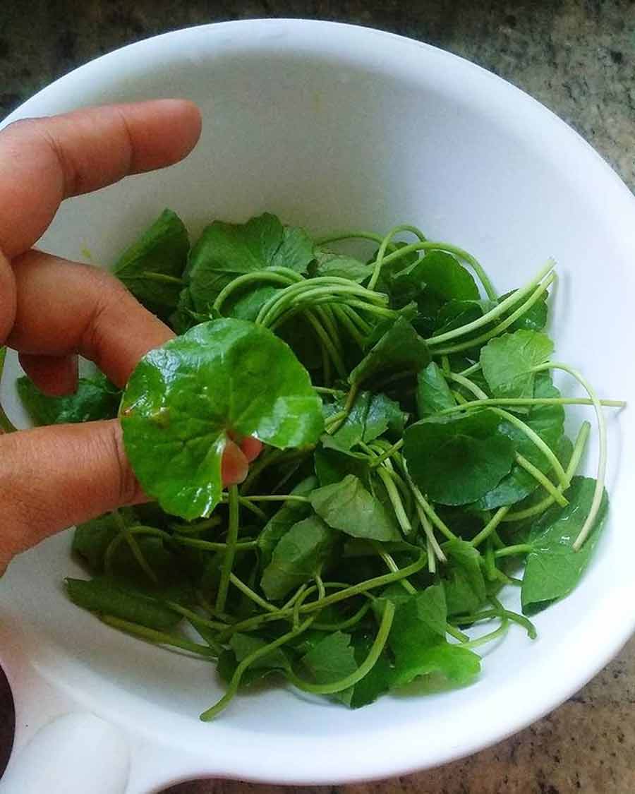 thankuni pata recipe