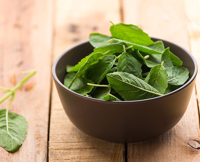 tulsi leaves for cold and fever