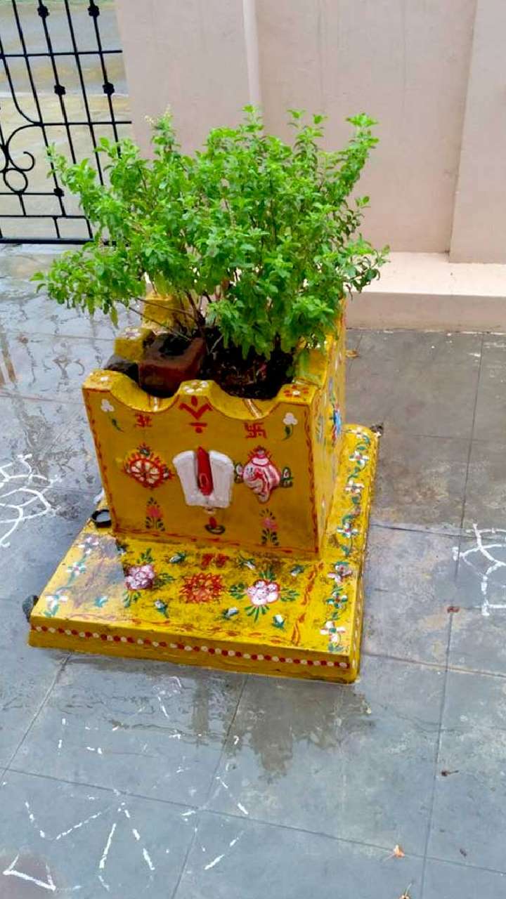 tulsi mein haldi bandhne ke labh