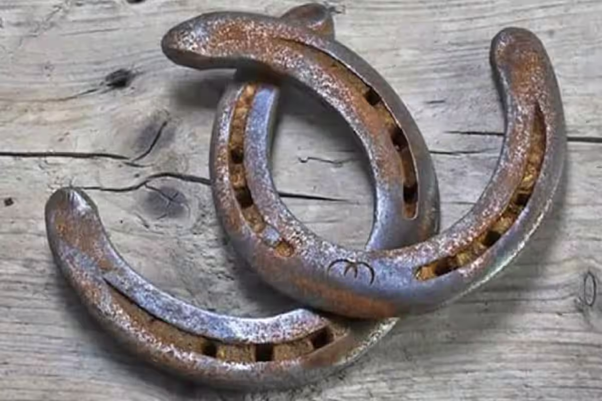 Ghode Ki Naal ke upay