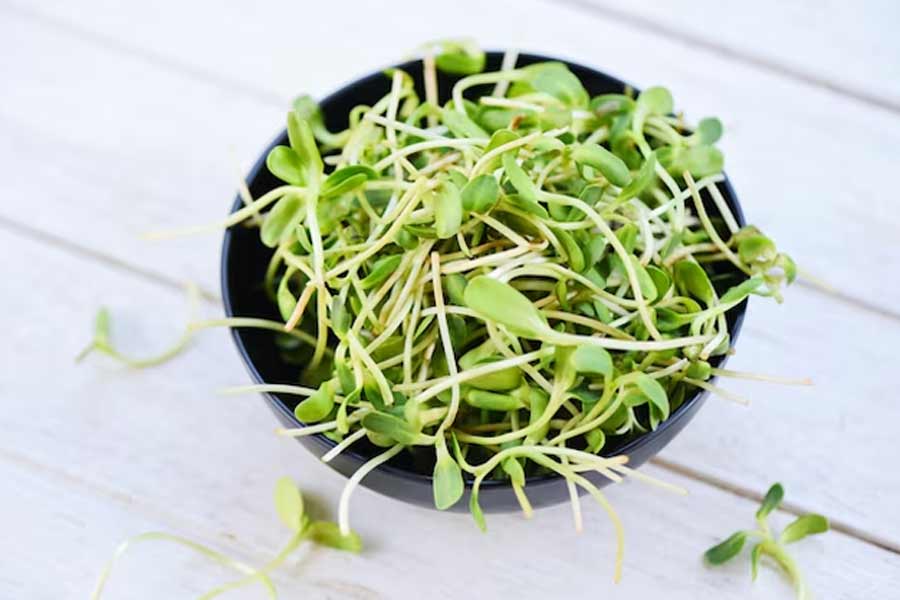 Why are microgreens so expensive