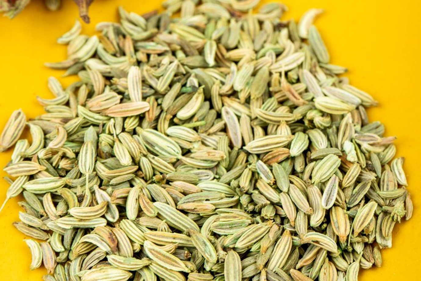 benefits of fennel water to burn fat