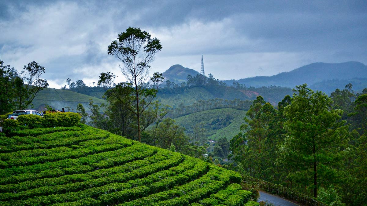 bolly hill station munnar