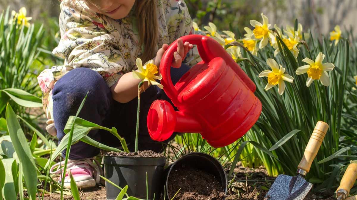 DIY Gardening For Kids: 5 Creative And Easy Ideas