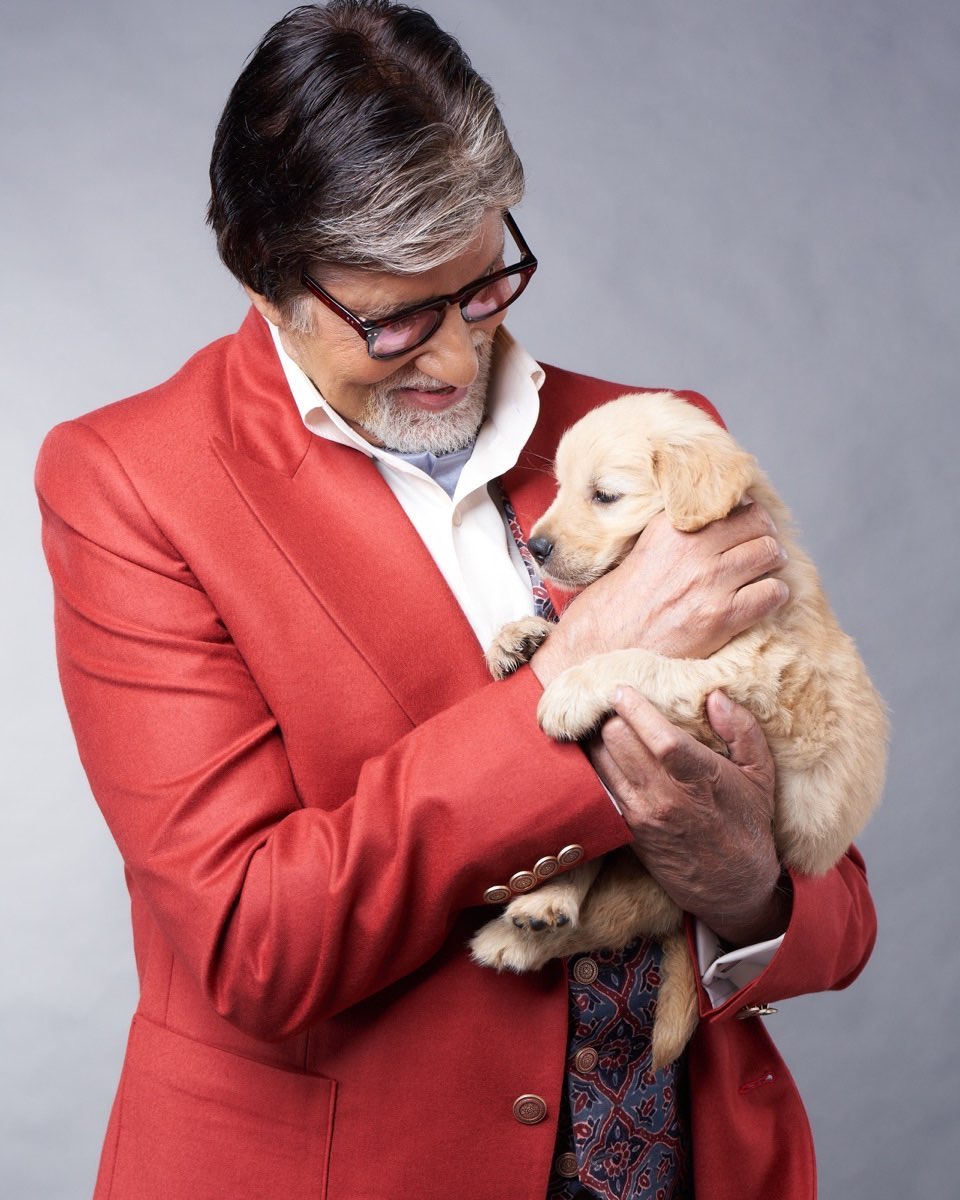 facts about amitabh bachchan