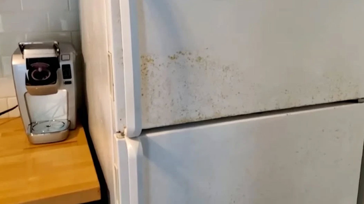 Cleaning hacksफ्रिज पर पड़े दागधब्बों को चुटकियों में ऐसे करें साफ