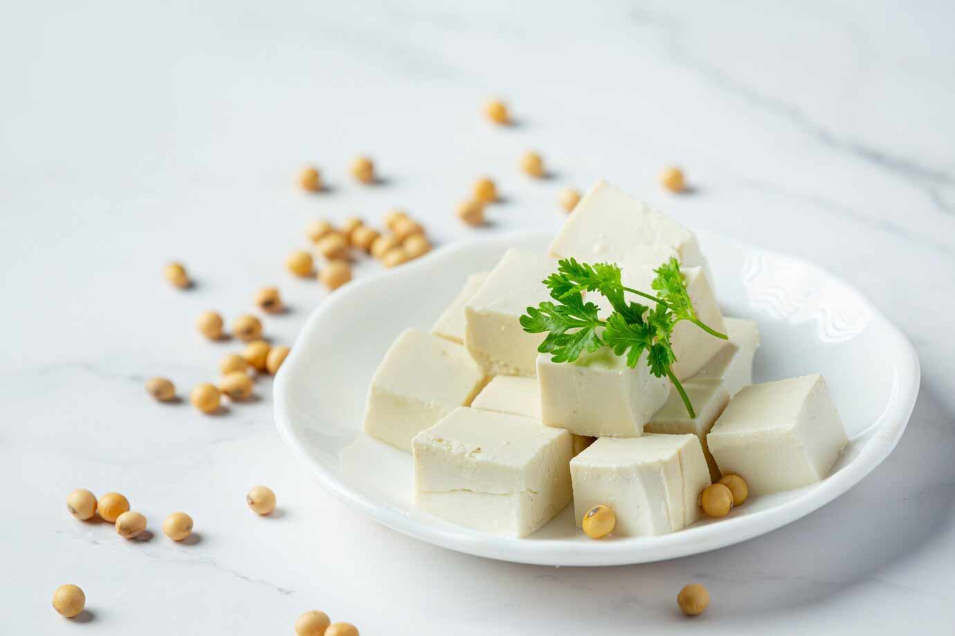 homemade paneer